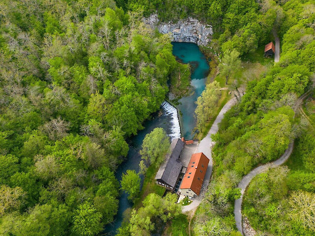 Krupa, slovenska lepotica