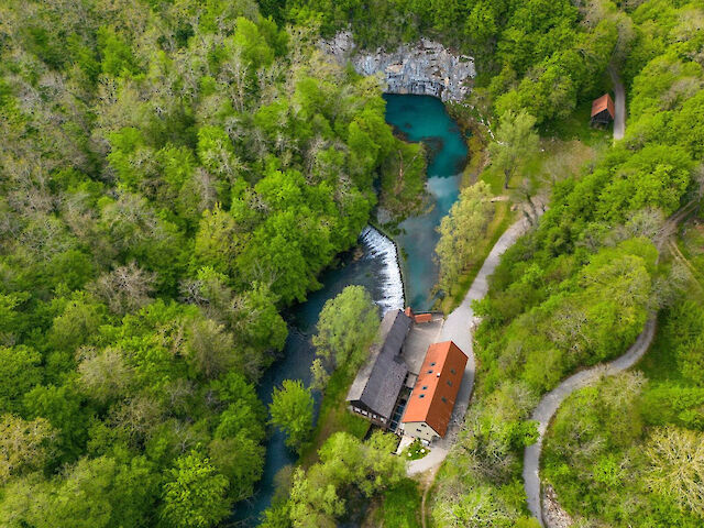 Krupa, slovenska lepotica