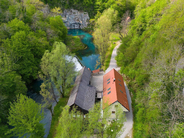 Krupa, slovenska lepotica