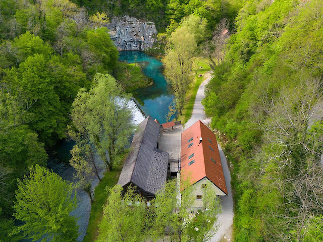 Krupa, slovenska lepotica